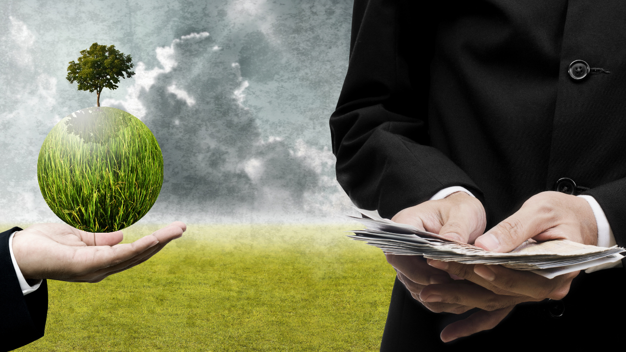 Emerging as an Educational Hub
