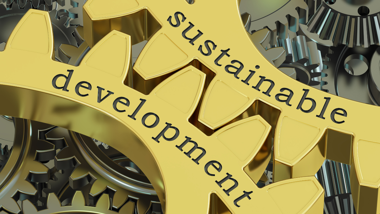 The Role of BA in Sustainable Development Careers