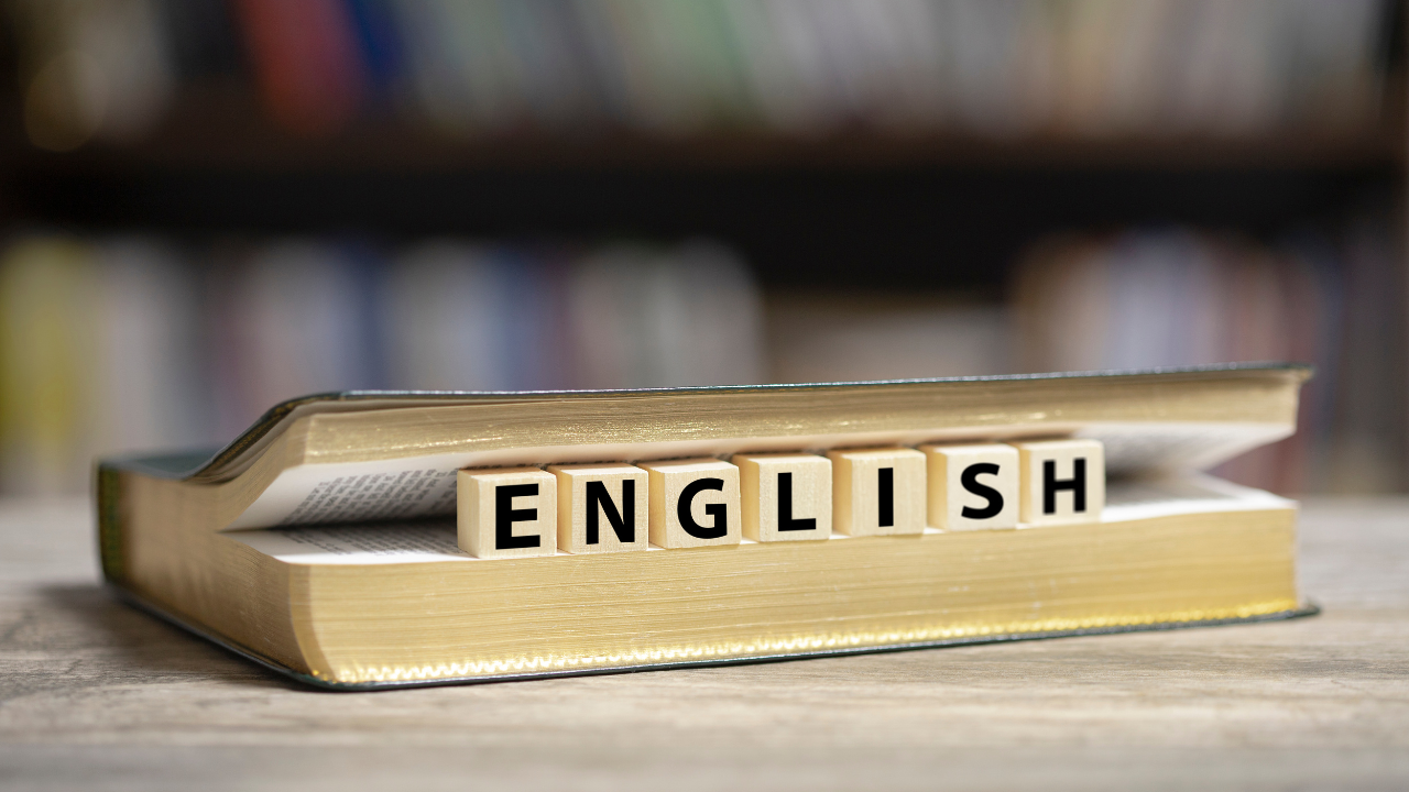 English Honours Isn’t Just About Literature—Here's Where It Can Take You