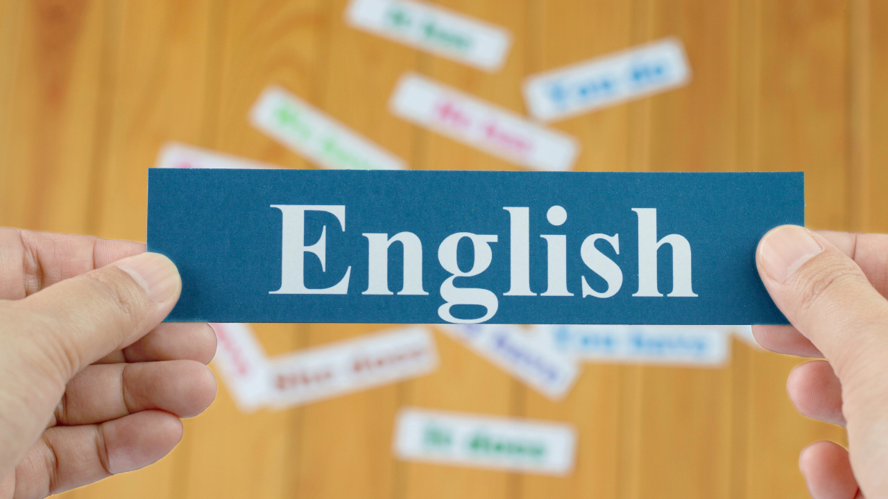 How a BA in English Leads High-Paying Career Paths and Opportunities